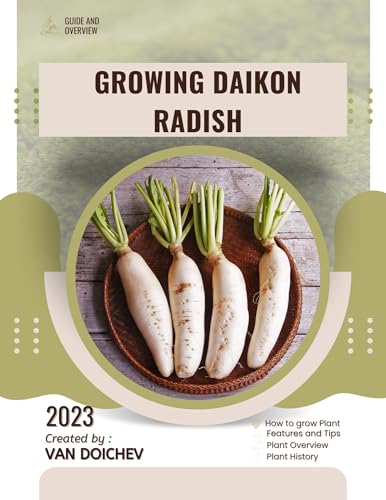 Growing Daikon Radish: Guide and overview