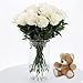 KENTIS - Bouquet 12 Rose Bianche con Orsetto di Peluche - Mazzo Fiori Veri e Freschi a Domicilio con Biglietto Personalizzato incluso Idea Regalo per Lei per Lui San Valentino Anniversario