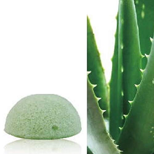 Sun&Sia Eponge en Konjac, 100% Naturelle Aloe Vera, Vert, 100 g Cover