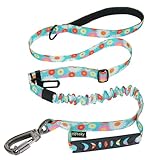Hotsky Tactical Dog Leash Heavy Duty for Medium Large Dogs that Pull,4-6Ft Strong Bungee Shock Absorbing No Pull Dog Leash with Padded Double Handle and Car Seatbelt,Daisy