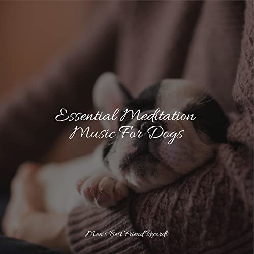 Amazon MusicでMusic for Calming Dogs, Jazz Music Therapy for Dogs & Calm ...