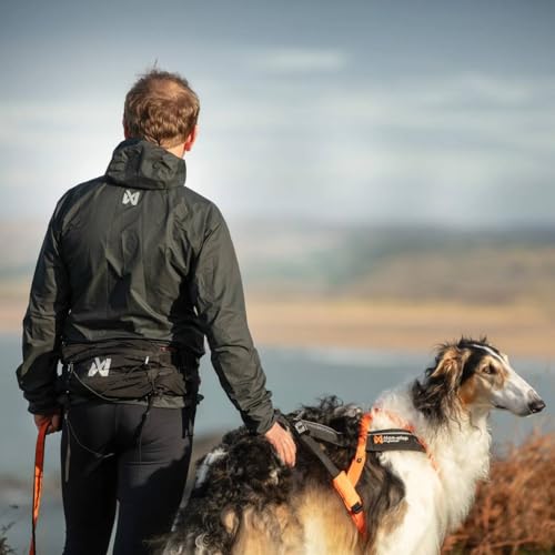 Nonstop DogWear - Trail Light Belt - Medium