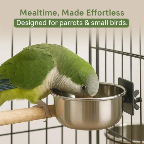Image of Pets Empire Best Stainless Steel Birds Coop Cup Feeder Bowl (200ML Pack of 2, Clamp)