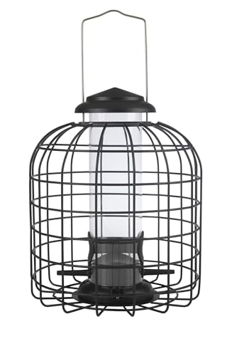 Squirrel Proof Bird Feeder - Hanging Caged Tube Bird Feeder for Small Birds - Finch Chickadee Sparrow and Wren - Ideal for Outdoors - Pigeon, Blue Jay, Deer, Grackle and Starling Proof