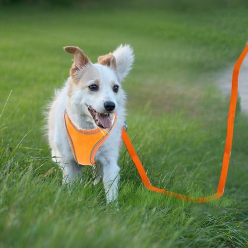 Verstellbares Katzengeschirr, Air-Mesh Atmungsaktiv Brustgeschirr mit1,5m Leine, Weich Gepolstert Hunde Geschirr, Katzenleine Kitten mit Reflektierenden Streifen, Katzen Weste (Rosa, 3XS)