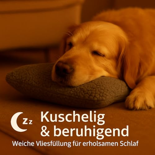Brunolie Kuschelkissen Lilly für Hunde – Grau – 25x20x6 cm – Waschbar bei 30 °C – Robust und Kuschelig – Made in Europe