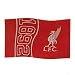 Liverpool Since Flag