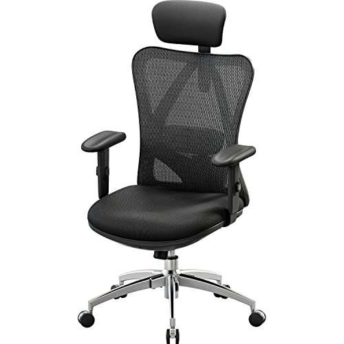 Best Steelcase Ergonomic Chair 2023 Where to Buy? Ergonomic Office