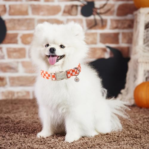 Image of Gingham Fall Dog Collar - Adjustable Orange Picnic Checkered Dog Collar with Daisy Pendant, Classic Autumn Dogs Collars for Girl Boy Dogs