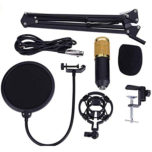 Pacchetto Microfono a condensatore BM-800 e Mixer Audio a 2 canali: Set Completo di Attrezzature per DJ e Home Studio per Registrazione, Karaoke e Streaming Liv