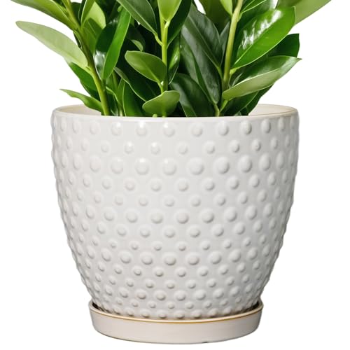 G EPGardening 10 Inch Plant Pot Ceramic Pots for Plants Indoor Outdoor Plant Pots with Drainage Hole and Saucer Round Large Flower Pot for Home Garden Office White