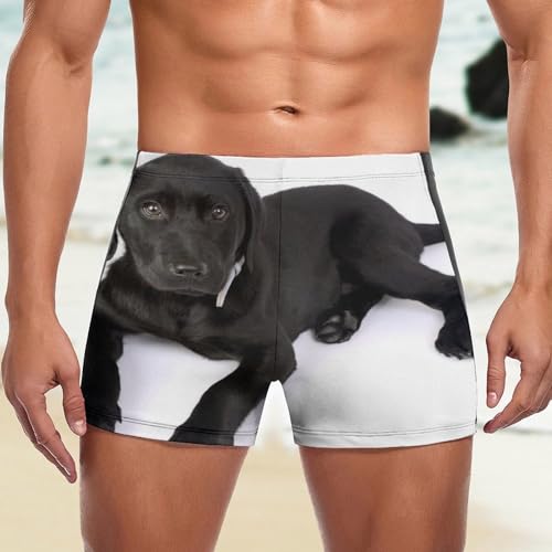 Maillot de bain imprimé Labrador noir stretch pour homme actif