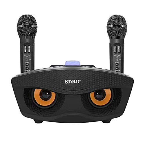 Haut-parleur Bluetooth LLD SD-306 avec deux microphones pour toute la famille