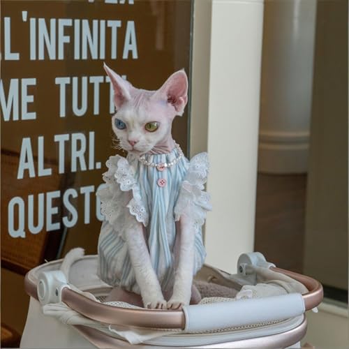 Camisa de gato Sphynx con encaje y algodón premium transpirable 3