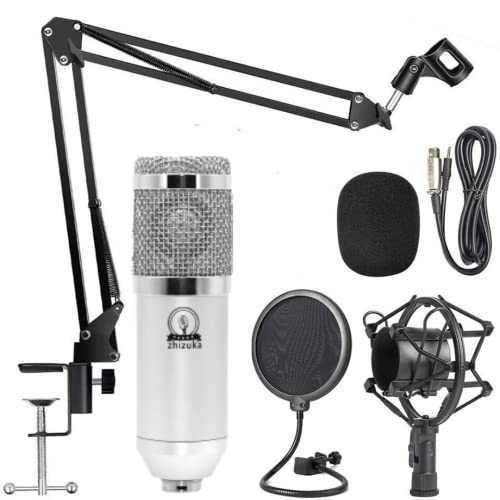 Image of ZHIZUKA BM800 Condenser Microphone Adjustable Boom Arm+Shock Mount+ Pop Filter. Recording, Podcast, Streaming, Voice Overs, Singing, YouTube. Mobile,PC,MAC,PS4(Need Phantom Power /Sound Card) (Silver)