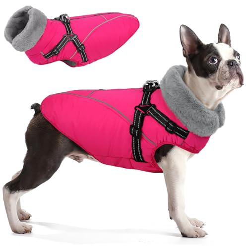 Queenmore Cappottino Cane Taglia Media Impermeabile Riflettente, Cappotto Bassotto, Vestito Cane con Arnese per Teckel, Bouledogue Français/Staffordshire Terrier(Rosa, M)
