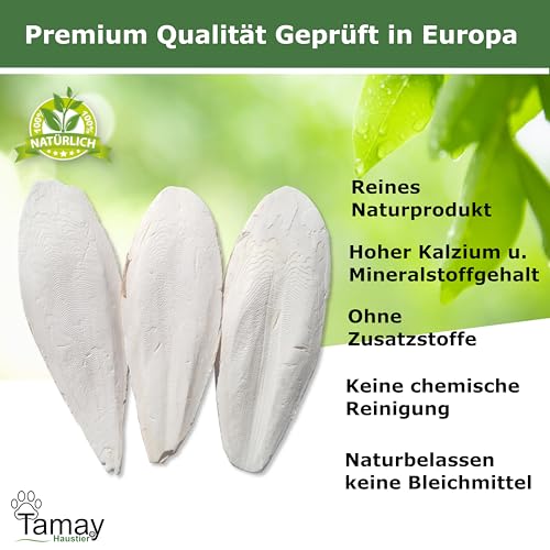 Tamay Sepiaschalen Premium 12 Stück I Optimale Kalzium u. Vitaminversorgung Nahrung, Futter für Reptilien, Schildkröten, Vögel I Sepia Schalen Terrarium Zubehör