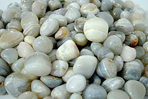 Image of Natural Banded Pebbles Stones for Decoration, Plants Pots, Table Decor, Home Decor (900 Grams, Natural Banded)