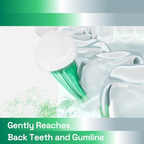 Image of Brushmo e-Series Total Clean Replacement Toothbrush Heads, Compatible with Philips Sonicare Screw-on Electric Toothbrush Handles, 6 Standard Heads, Medium Firm Dupont Bristles, BM726-bg, White