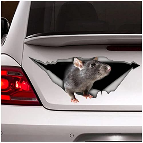 WYZDGTD Decalcomania del ratto Decalcomania dell'automobile Decalcomania del vinile Decorazione dell'automobile Decalcomania animale Decalcomania dell'animale domestico 2 pezzi Lato più Lungo 21 cm Cover