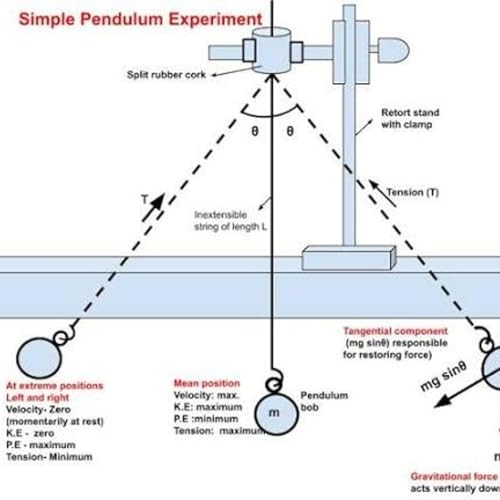 How To Calculate A Simple Pendulum Experiment - PHY107
