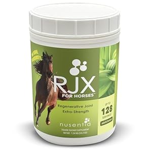 RJX for Horses – Triple Strength Glucosamine, Chondroitin, and MSM. Joint Supplement. Powder. 54 OZ