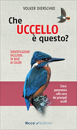  Che uccello è questo?
