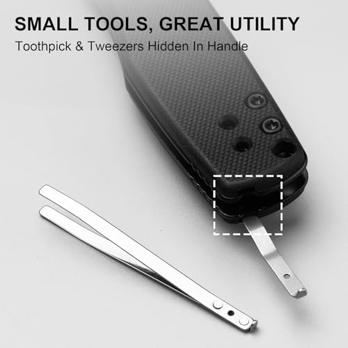 Image of Kizer Aegis EDC Pocket Knife, 2.8 inch D2 Steel Drop Point Folding Knife