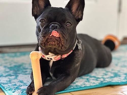 Nylabone Extreme, Kau- und Zahnspielzeug für Hunde, Hundeknochen, für aggressiv / Starke kauende, Original-Geschmack, für kleine hunde bis 11 kg