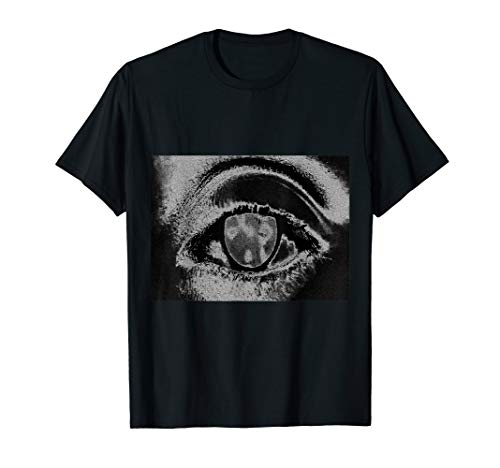 eYe