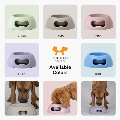 United Pets Pappy Hundenapf, Eco- Friendly, Made in Italy, Futternapf, Trinknapf für Hunde, Hellgrau, Napf für mittelgroße Hunde, 1100ml, M