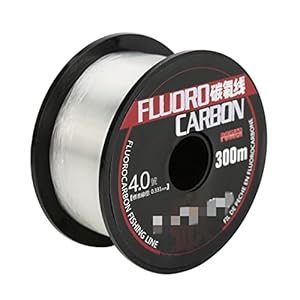 ZWF Store 300 m 100% fluorocarbon Visserijlijn Japan Koolstofvezel Monofilament Leaderlijn Karper Vlieg Vissen Linetackle Pesca Sedal Vislijn (Color : 300 m, Line Number : 5.0-0.370mm-21.24LB)