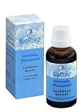 Sanddorn Kernöl 50 ml