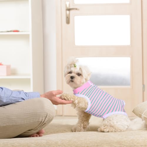 Image of FEimaX Dog Surgery Recovery Suit Female and Male Spay with Pee Hole, Pet Body Suits for Puppy After Spayed, Neuter Surgical Onesie for Small and Medium Dogs Cats, Alternative Bandages E-Collar & Cone