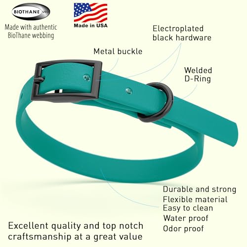 Image of Dogline Biothane Waterproof Dog Collar Strong Coated Nylon Webbing with Black Hardware Odor- Proof for Easy Care Easy to Clean High Performance Fits Small Medium or Large Dogs, Blue Aqua