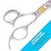Equinox Professional Hair Scissors - Hair Cutting Scissors Professional - 6.5” Overall Length - Razor Edge Barber Scissors for Men and Women - Premium Shears for Hair Cutting For Salon and Home Use