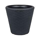 Prosperplast