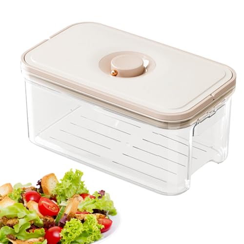 Contenedores de almacenamiento para , cajas portátiles de almacenamiento de alimentos y bandejas de aperitivos, caja organizadora de refrigeradores, almacenamiento portátil de alimentos con