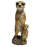 Lassen Sie eine Erdmännchen-Familie in Ihren Garten einziehen