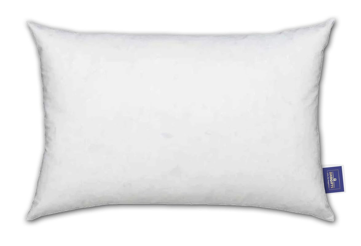 BMRGIFTS Non Woven Vaccum Packed Fiber Rectangular Cushion Pillow Inserts or Fillers for Sofa & Bed - 14" X 20" (White, BMRNwn_Plw1420Flr0001) (B0CZNNTRNT) Amazon Price History, Amazon Price Tracker
