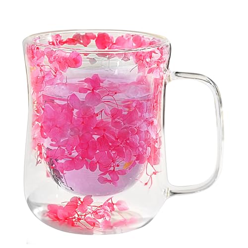 Aesthetic Flower Cups | Tea Cups - 400ml Clear Heat Resistant Glass Mug with Dried Flowers Design, Double Wall for Cappuccino Tea Espresso Latte Hot Beverages Glasses