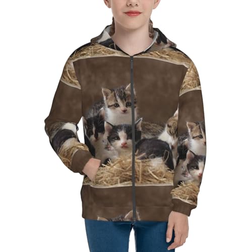 Cat Family Kids Pullover Hoodies Boys Zip Up Sweatshirts Girls Athletic Clothes with Pocket3