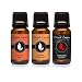 Trio (3) - Amber Romance, Happy Men & Dragons Blood - Premium Fragrance Oil Trio - 10ML