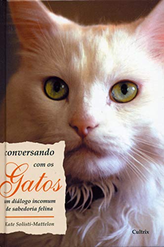Conversando com os Gatos: um Diálogo Incomum de Sabedoria Felina