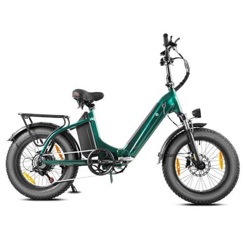 E Bike Klapprad 20 Zoll Elektrofahrräder, E-Faltrad Damen und Herren, 48V 18A*2 Doppelbatterien|250W Heckmotor 80N.m & 25km/h, Hydraulische Bremse, Tiefeinsteiger E-City Bike/Pedelec für Erwachsene