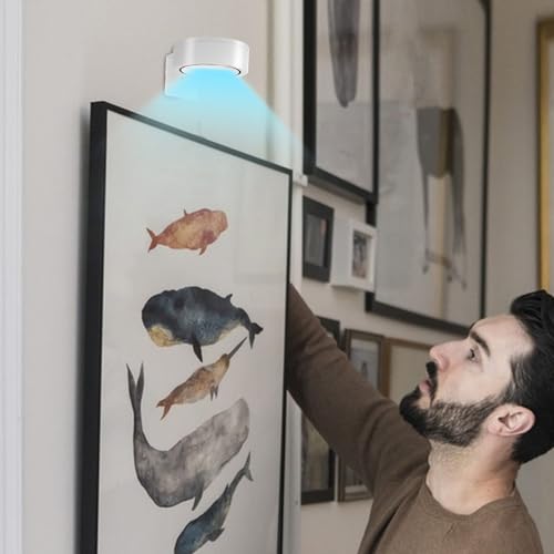 Barra de iluminación para vitrinas que transforma tu salón sin cables 3