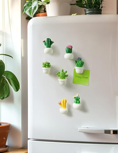 Imanes decorativos cactus 3D set 12 unidades miniatura 4