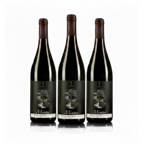 Mingus D.O del Bierzo, Vino tinto joven | Cosecha 2024 | Caja de 3 botellas x 750ml | Bodega 13 viñas