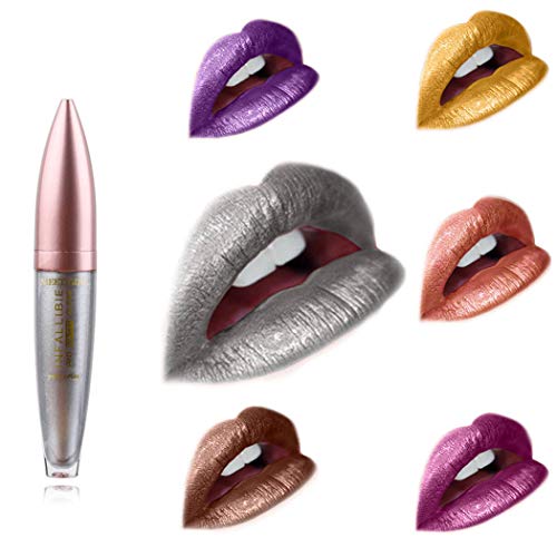 Edanta Matte Liquid Lipstick Waterproof Lipsticks Metallic Cream Lips Stick High Pigmented Lip Beauty Makeup for Women and Girls Pack of 1 (Silver 1)