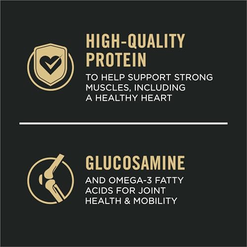 Image of Purina Pro Plan Adult 7 Plus Complete Essentials Senior Dry Dog Food, 18 lb | Shredded Blend Beef & Rice, 29% protein, supports muscle and joint health in senior dogs